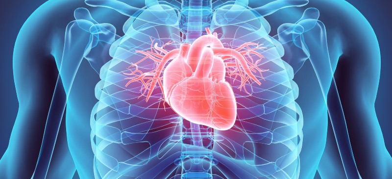 Salud cardiovascular
